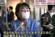 自民党、新たな増税案「出産家庭に10万円相当を支給する財源を増税で賄うべき」「毎年1000億円程度の財源が必要。防衛費増額の財源の一部を充てる」