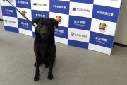 【朗報】モモタロウ（犬）、成田空港でスーツケースに隠された8000万円相当の“大麻”発見