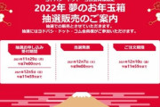 ヨドバシカメラ､福袋｢2022年 夢のお年玉箱｣の抽選販売受付を11月29日7時から開始