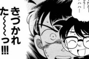 【唖然】最近のコナンのアニオリ回多すぎ問題ｗｗｗｗｗ