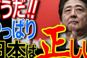 【先進国】日本、ついにコロナ感染者数・死者数共に韓国を上回ってしまう　ネトウヨは「人口比ガー」と連呼
