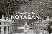 外国人「魔法みたい…」高野山への雪景色の旅映像に夢中