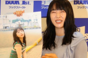 【画像】桜井日奈子「こういう水着写真集出したい」