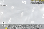 【悲報】ダイソー、高級ブランドFENDIのロゴが入った布を不正販売してしまい書類送検される