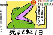 【悲報】100ワニ 景品表示法違反により無事死亡