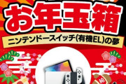 【悲報】ヨドバシのSwitch福袋(45000円)にパワポケRが入っていた模様