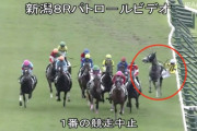 吉田隼人の落馬やばくね？
