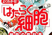 【動画】これがNK/T細胞がガン細胞を殺す瞬間・・・お前らもっとNK細胞さんを応援してがんを回避しようぜ！