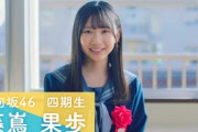 日向坂46 四期生 藤嶌果歩 「ひなこい」100 人のかれし研修生を大募集！