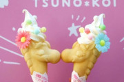 【画像】世界初のユニコーン型ソフトクリームがヤバすぎるｗｗｗｗｗ