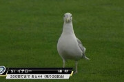プロ野球の面白い画像が自然と集まってくるトピ