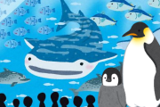 「日本にジンベエザメとコウテイペンギンを同時に見れる水族館は存在しない」 ← これ