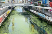 【動画】チー牛、道頓堀川に全裸で落下