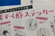【もずく酢】漫画家「陰毛書いたら成人向けになっちゃう…せや！」