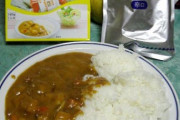 お前らが一番好きなレトルトカレーなんだよｗｗｗｗｗｗｗｗｗｗｗｗｗｗｗｗｗｗｗｗｗｗｗｗｗｗｗｗｗｗｗ