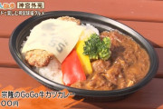 村上宗隆の牛カツカレー1400 円　山田哲人の肉丼1300円　高津監督のカツうどん1000円