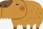 カピバラが脱走したか？行方不明　東南植物楽園「温厚な性格だが、見つけたら触らずに連絡してほしい」