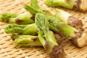 海外「日本で食べた最高の味は？」山菜を語る食の玄人も出現してる