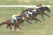【競馬/東京新聞杯】エアスピネル弱すぎワロタｗｗｗｗｗｗ