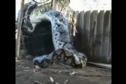 【動画】まじで人を飲み込むレベルのヘビがインドの村で見つかる...