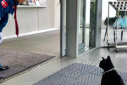 【感動】猫と警備員さん、2カ月ぶりに再会　ネッコ「マスク姿でも余裕で分かったニャ～」