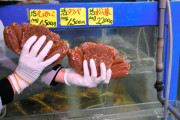 ウクライナ情勢、日本の食卓に影「カニの取り合い始まっている」 #食品