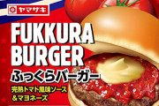 マクナル値上げに中毒の人「もう生きていけるのかなって。どうにか他を切り詰めていかないと…」