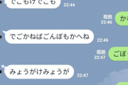 【画像】秋田県民同士のLINEのやり取りが狂ってるｗｗｗ