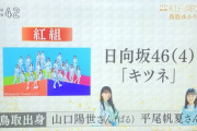 【日向坂46】NHK鳥取ニュースにてまたしてもこちらの2名が取り上げられるｗｗｗｗｗｗｗｗ