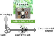 【画像】土の中にいる微生物がアルツハイマー病に影響する可能性、京大などが発見へ