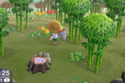 【あつまれどうぶつの森】竹生えてる島に着いたけど竹ってなんかメリットあるの？