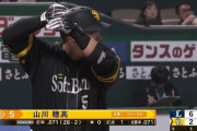 山川穂高「打率.069（29-2）0本1打点OPS.192」←これについての率直な感想wwwwwwwww