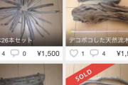 【朗報】ワイが海で拾ったゴミ、メルカリで売れる！