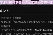 ヴァンビ｢登録者300万で結婚式します！wあ、無理だったw｣