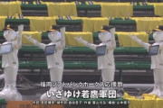 【ソフトバンク対中日オープン戦】ロボット応援団・ペッパーくん、今年も健在！40台に増員！！！