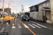 【動画】小学生、信号の無い横断歩道で車が止まらず横断を諦めかける
