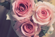 【困惑】ワイの周り、結婚願望ありすぎる・・・・・・・・・・・・・・・・・・・・・・・・・・・・・・