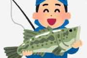 速報、ワイ、ブラックバスを釣り上げる