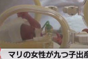 【朗報】九つ子、生まれる