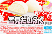 【画像】雪見だいふくをパクった韓国のアイス、ヨーロッパでトレンド大人気