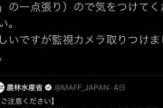 町山「外国人ヘイトを拡散するつるの剛士が賛美される日本でオリンピックは可能なのでしょうか」