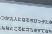 コンビニの貼り紙に衝撃「いつか大人になるちびっ子たちへ」、店主の訴えに「よくいった」