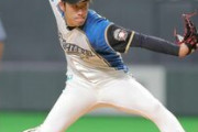 【悲報】秋吉亮さん、独立リーグでNPB復帰を目指す