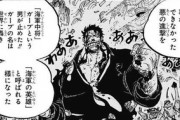 【ワンピース】なんJ民「ガープ中将が最強！」センゴク・ガープ・公式「世界最強は白ひげ」