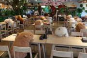 右も左もモフモフだらけ...　コロナ対策でぬいぐるみに占拠されたレストランが最高だと話題に