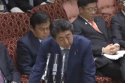 【動画】立民・国民、ガチの税金泥棒と判明！維新「歳費の自主返納をやってる」自民・公明「やってる」立民・国民「」蓮舫「自民がー」安倍「自民はやってます」