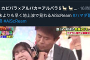 【炎上】ダウンタウン浜田のルビィちゃん首絞め、世界にバレて炎上してしまう