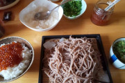 イクラご飯とざる蕎麦食べてる