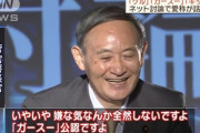 【悲報】消費税17%にしても財政難