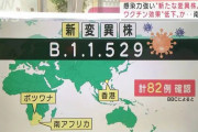 【どうせすり抜ける】日本、南ア変異株を最高警戒レベルに引き上げ